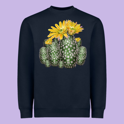 Texas Rainbow Cactus Heavyweight Sweatshirt Designed By Lillyallendesigns