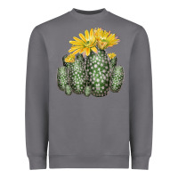 Storm texas rainbow cactus Heavyweight Sweatshirt - LillyAllenDesigns