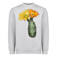 Heather Grey texas rainbow cactus Heavyweight Sweatshirt - LillyAllenDesigns