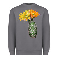 Storm texas rainbow cactus Heavyweight Sweatshirt - LillyAllenDesigns