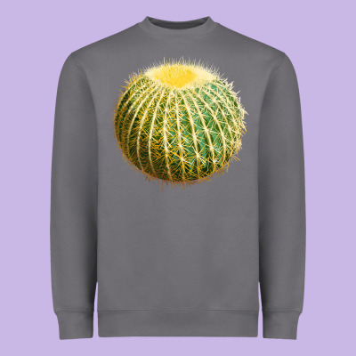 Golden Barrel Cactus Heavyweight Sweatshirt Designed By Lillyallendesigns