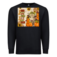 Black fall hay there pumpkin Premium Sweatshirt - texasbilliewilder