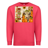 Cardinal fall hay there pumpkin Premium Sweatshirt - texasbilliewilder