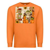 Carrot fall hay there pumpkin Premium Sweatshirt - texasbilliewilder