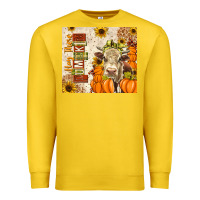 Lemon fall hay there pumpkin Premium Sweatshirt - texasbilliewilder