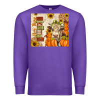 Purple fall hay there pumpkin Premium Sweatshirt - texasbilliewilder