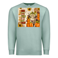 Seafoam fall hay there pumpkin Premium Sweatshirt - texasbilliewilder