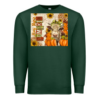 Fall Hay There Pumpkin Premium Sweatshirt | Teevron