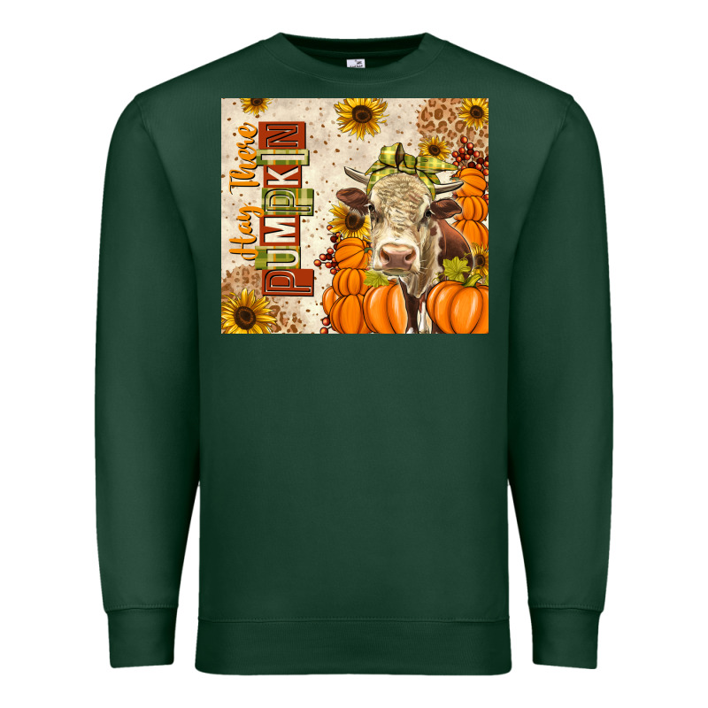 Fall Hay There Pumpkin Premium Sweatshirt by texasbilliewilder | Teevron