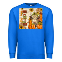 True Royal fall hay there pumpkin Premium Sweatshirt - texasbilliewilder
