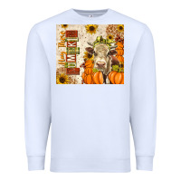 White fall hay there pumpkin Premium Sweatshirt - texasbilliewilder