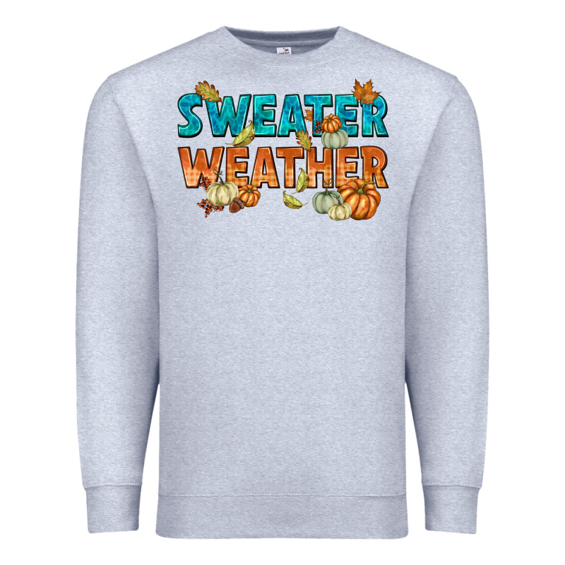 Weather Premium Sweatshirt by texasbilliewilder | Teevron