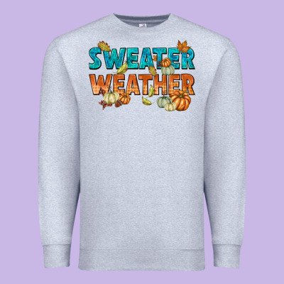 Weather Premium Sweatshirt Designed By Texasbilliewilder