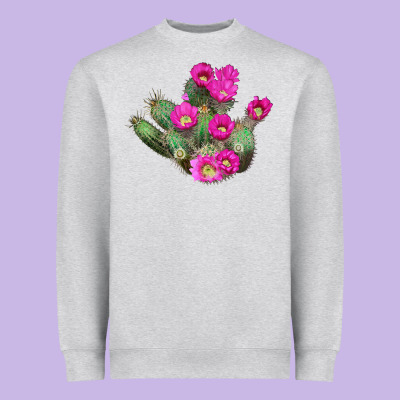Strawberry Hedgehog Cactus Heavyweight Sweatshirt Designed By Lillyallendesigns