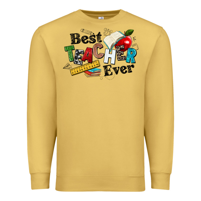 Best Teacher Ever Premium Sweatshirt by NancyCooperArtShop | Teevron