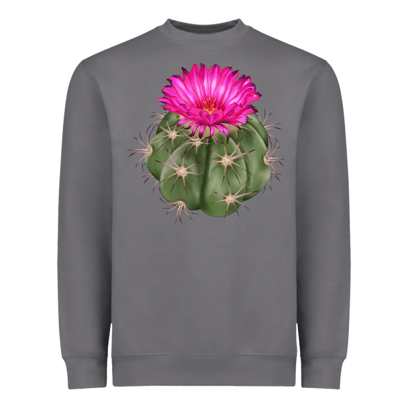 Eagle Claws Cactus Heavyweight Sweatshirt by LillyAllenDesigns | Teevron