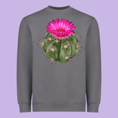 Eagle Claws Cactus Heavyweight Sweatshirt Designed By Lillyallendesigns