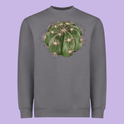 Eagle Claws Cactus Heavyweight Sweatshirt Designed By Lillyallendesigns