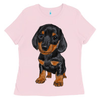 Dachshund Puppy Ladies Tee | Teevron