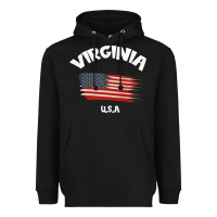 Black VIRGINIA U.S.A Heavyweight Hoodie - Bettercallsaul