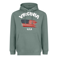 Sage VIRGINIA U.S.A Heavyweight Hoodie - Bettercallsaul