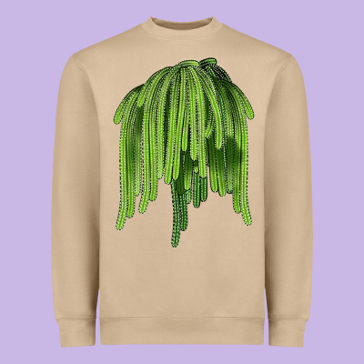 Selenicereus Cactus Heavyweight Sweatshirt Designed By Lillyallendesigns
