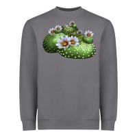 Storm blossfeldia cactus Heavyweight Sweatshirt - LillyAllenDesigns