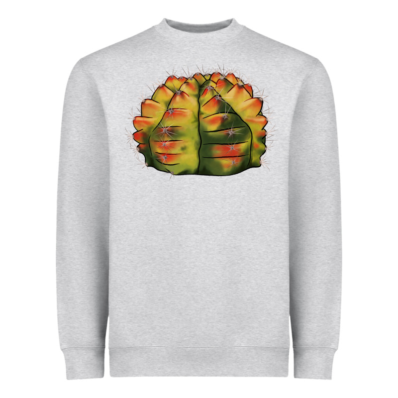 Gymnocalycium Variegated Cactus Heavyweight Sweatshirt by LillyAllenDesigns | Teevron