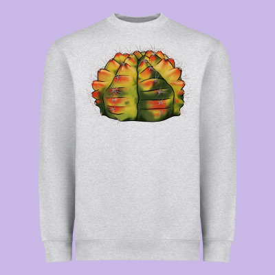 Gymnocalycium Variegated Cactus Heavyweight Sweatshirt Designed By Lillyallendesigns