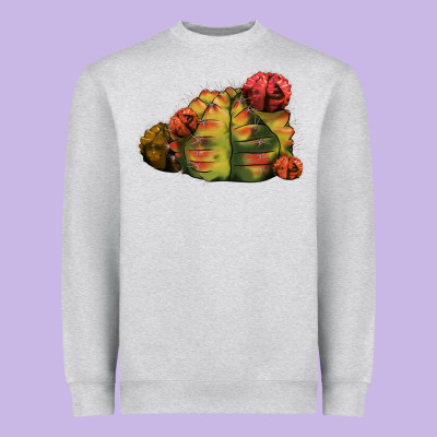 Gymnocalycium Variegated Cactus Heavyweight Sweatshirt Designed By Lillyallendesigns
