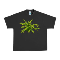 Pigment Black Lemon Lime Dracaena Leaf Urban Heavy Tee - LillyAllenDesigns