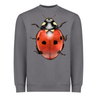 Storm lady bug Heavyweight Sweatshirt - LillyAllenDesigns