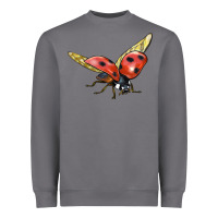 Storm Ladybug Flying Heavyweight Sweatshirt - LillyAllenDesigns