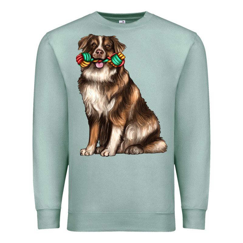 Australian Shepherd With Rope Toy Premium Sweatshirt by texasbilliewilder | Teevron