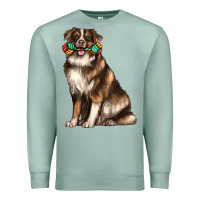 Seafoam australian shepherd with rope toy Premium Sweatshirt - texasbilliewilder