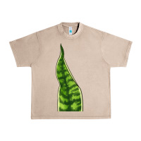 French Oak Snake Plant Urban Heavy Tee - LillyAllenDesigns