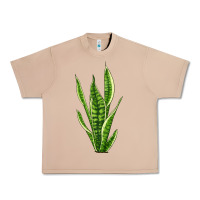 Burro snake plant Urban Heavy Tee - LillyAllenDesigns