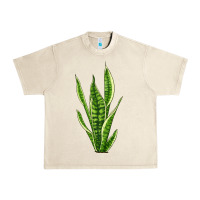 Sandshell snake plant Urban Heavy Tee - LillyAllenDesigns