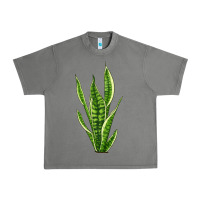 Tornado snake plant Urban Heavy Tee - LillyAllenDesigns