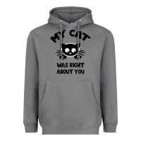 Storm My Cat Was Right About You Heavyweight Hoodie - Bettercallsaul