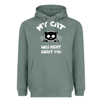 Sage My Cat Was Right About You Heavyweight Hoodie - Bettercallsaul