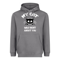 Storm My Cat Was Right About You Heavyweight Hoodie - Bettercallsaul