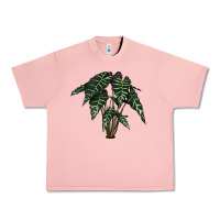Salmon Amazon Elephant Ear Urban Heavy Tee - LillyAllenDesigns