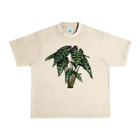 Sandshell Amazon Elephant Ear Urban Heavy Tee - LillyAllenDesigns