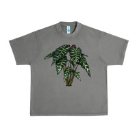 Tornado Amazon Elephant Ear Urban Heavy Tee - LillyAllenDesigns
