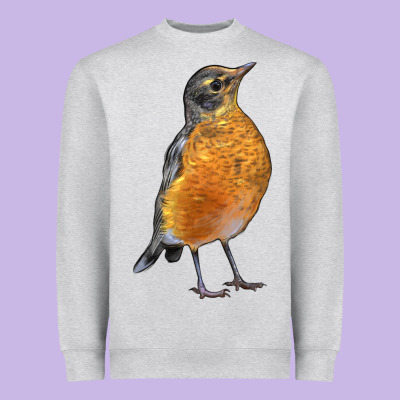 American Robin Bird Heavyweight Sweatshirt Designed By Lillyallendesigns