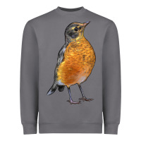 Storm American Robin Bird Heavyweight Sweatshirt - LillyAllenDesigns