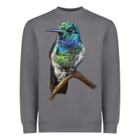 Storm Ruby Throcuted Hummingbird Heavyweight Sweatshirt - LillyAllenDesigns