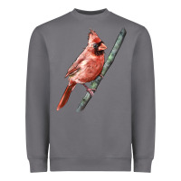 Storm Northern Cardinal Bird Heavyweight Sweatshirt - LillyAllenDesigns