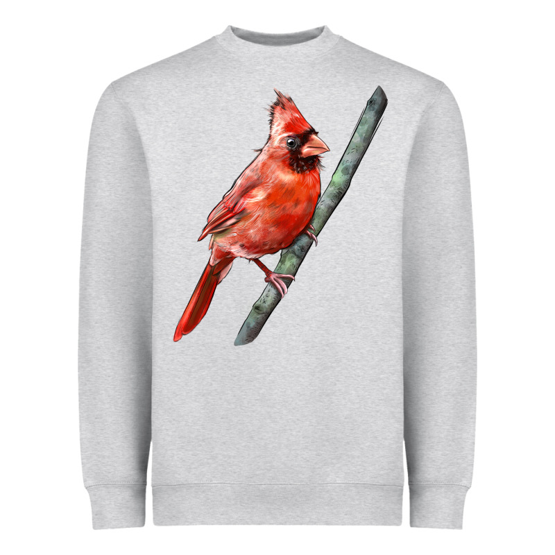 Northern Cardinal Bird Heavyweight Sweatshirt by LillyAllenDesigns | Teevron